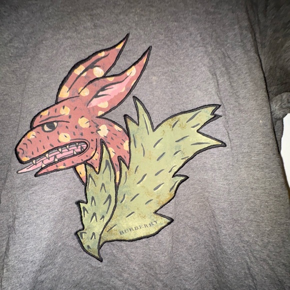 Burberry Dark Gray Graphic Tee - Picture 4 of 10